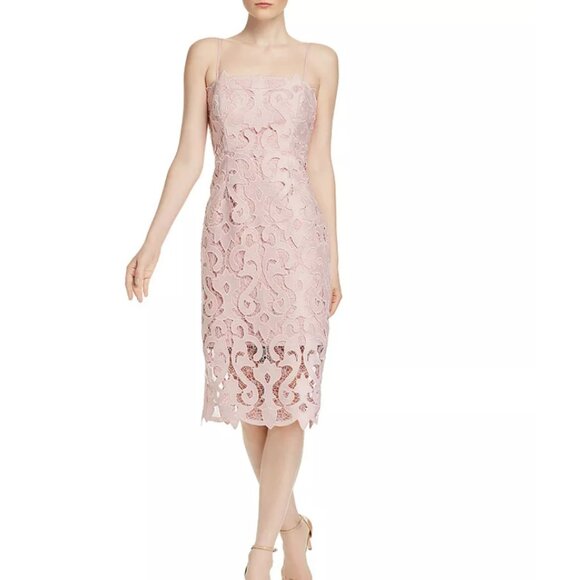 Bardot Lina Lace Sheath Dress Size 8 Medium - Picture 1 of 7